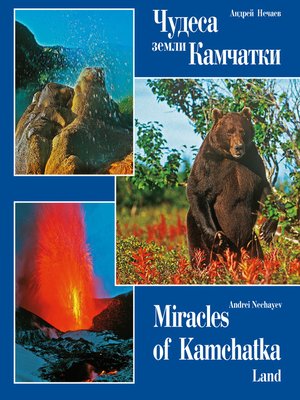 cover image of Чудеса земли Камчатки (Miracles of Kamchatka Land)